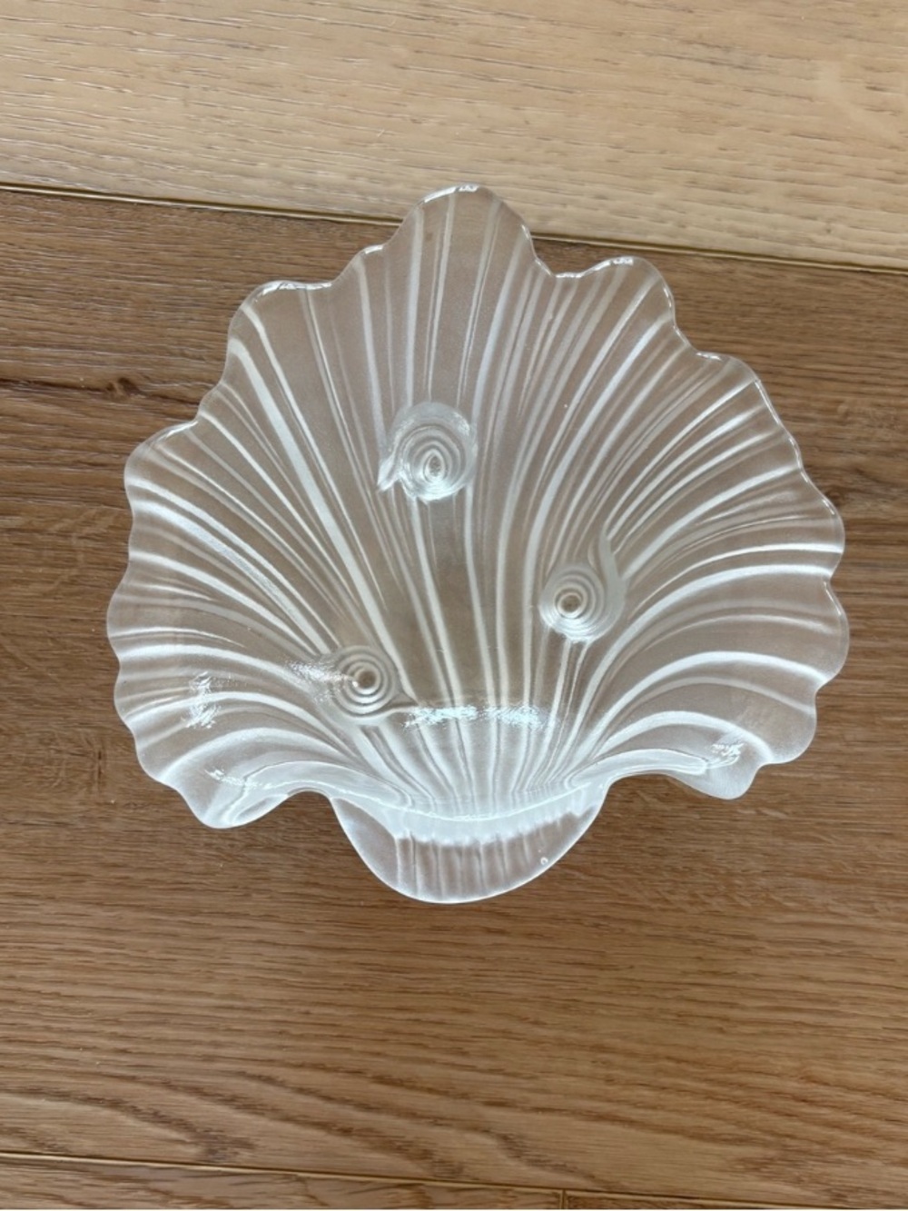 Frosted Glass Shell Decorative Bowl - White